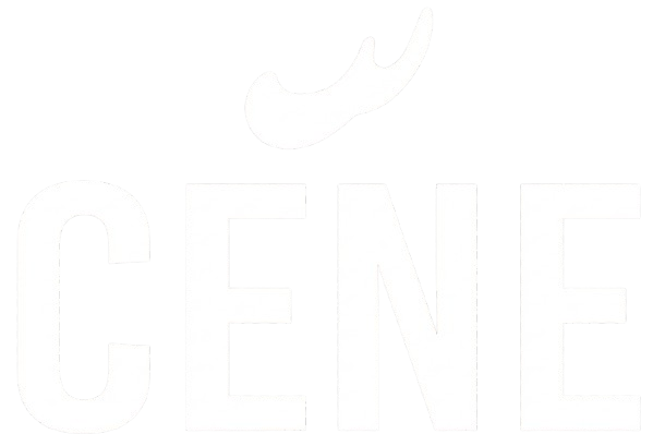 CENE Fashion